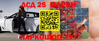 гидра Новозыбков