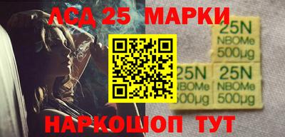 индика Новодвинск