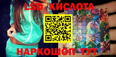 гидра Новозыбков