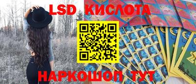 гидра Новозыбков