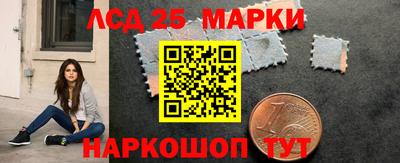гидра Новозыбков