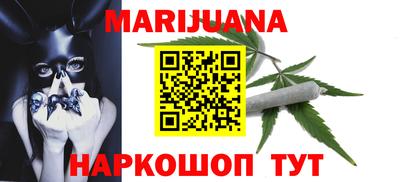 индика Новодвинск