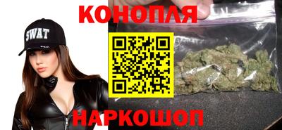 индика Новодвинск
