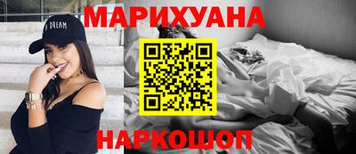 индика Новодвинск