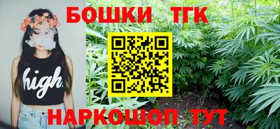 гидра Новозыбков