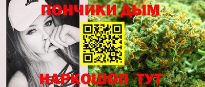 индика Новодвинск
