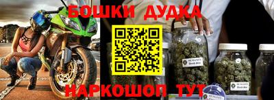 индика Новодвинск