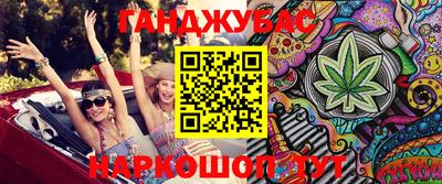 индика Новодвинск