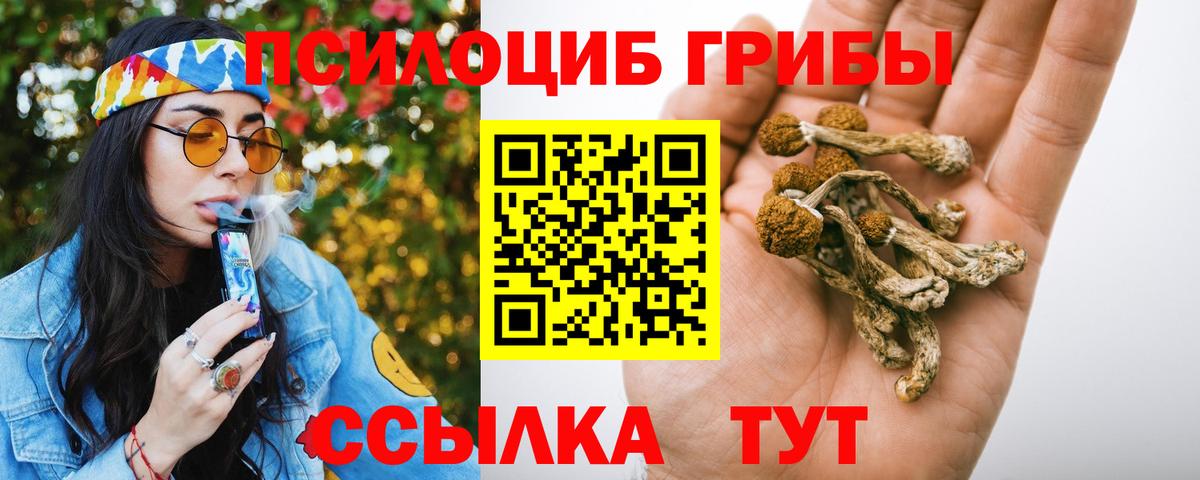 Псилоцибиновые грибы Psilocybe  Вход с VPN  Псилоцибиновые грибы мицелий  Севастополь 